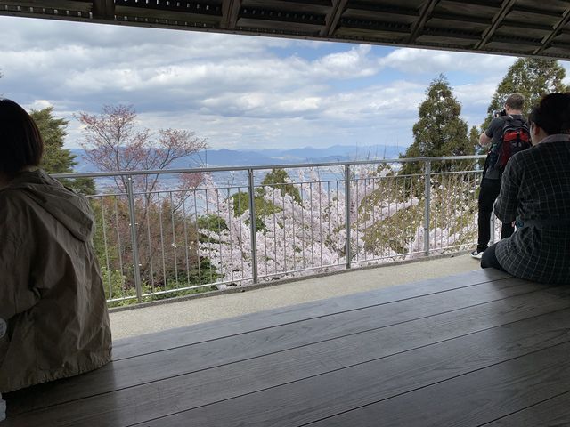 春がくる!!