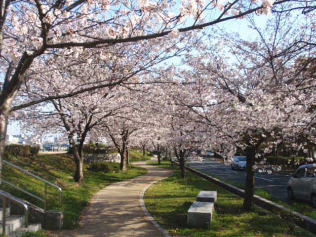 新規一転の気持ちですね