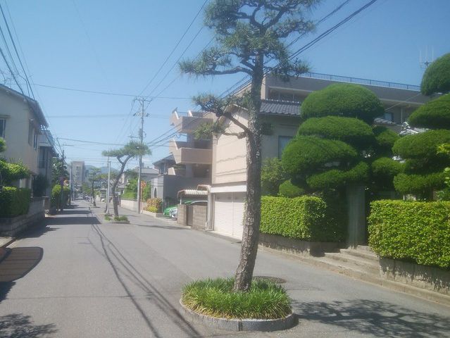 ちょっと驚いた話...。