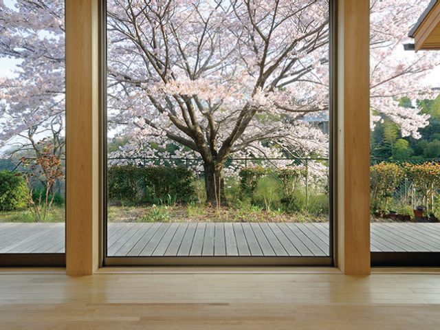 桜の木とともに暮らす家《注文住宅》