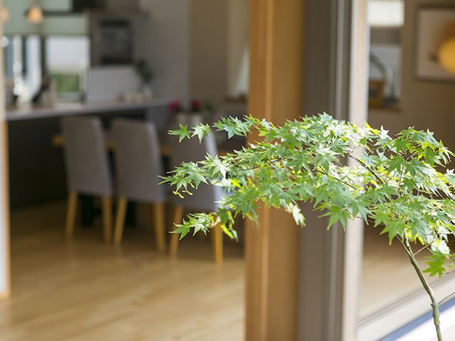 展示場が生まれ変わりました！！　吉島展示場「山いろは」