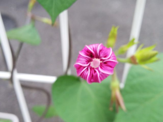7月も半分終わりました。