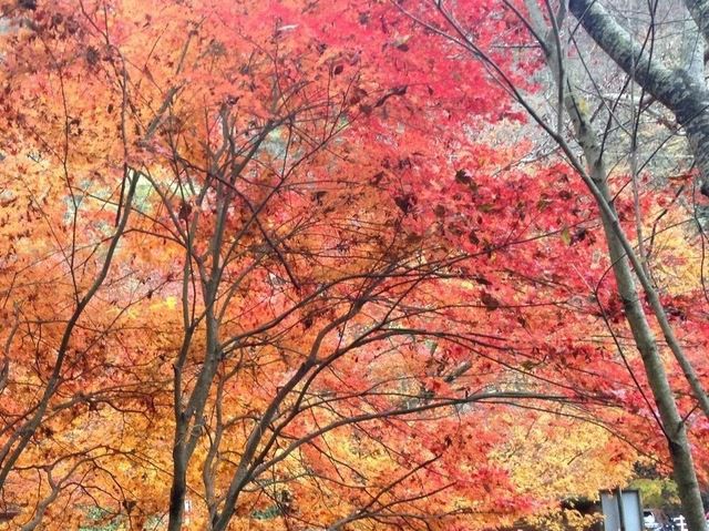 要は、イベントの告知です