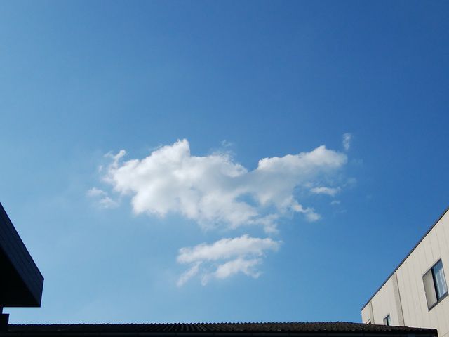 まいにちも まんいちも