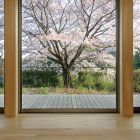 桜の木とともに暮らす家《注文住宅》1