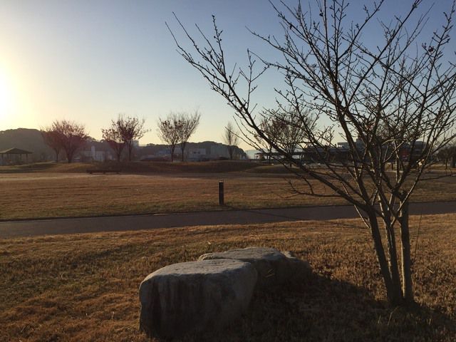 いつもの通勤風景