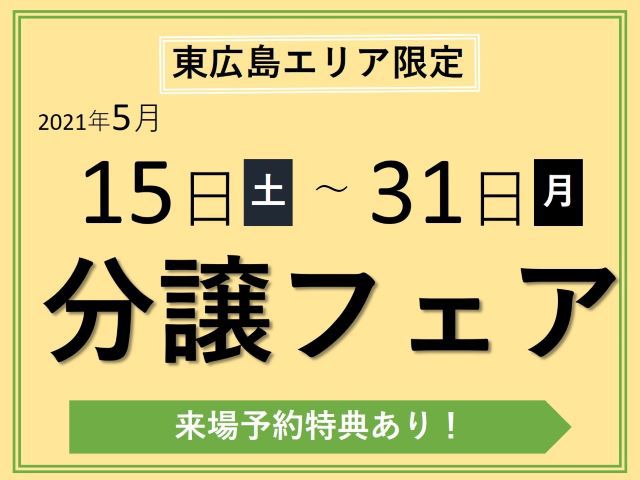 【受付終了】2021年5月15日(土)~31日(月)東広島エリア限定！不動産フェア《山根木材の分譲住宅》