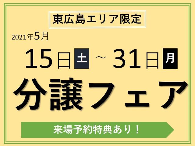 【受付終了】2021年5月15日(土)~31日(月)東広島エリア限定!不動産フェア《山根木材の分譲住宅》